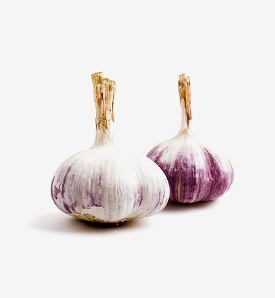 Picked With Pride - Imagen 3